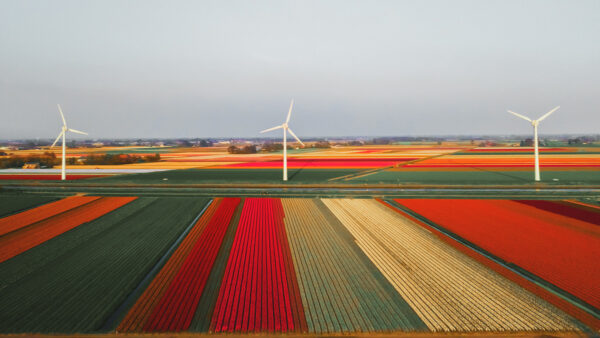 Landschap met windmolens